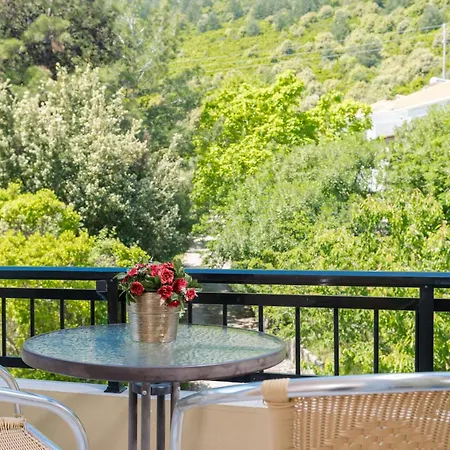 Dimitreli Venetia 基尼拉