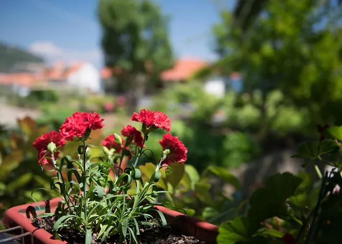 Dimitreli Venetia 호텔 *