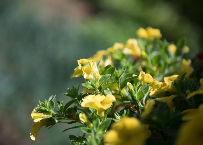 Dimitreli Venetia 호텔 *