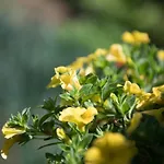 Dimitreli Venetia Hotel *